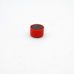 Aimant d'Affichage Ø12x8mm